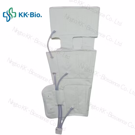 Portable Sequential Pneumatic Compression Device for Dvt