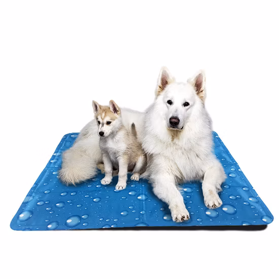 50X65cm Waterproof Scratch